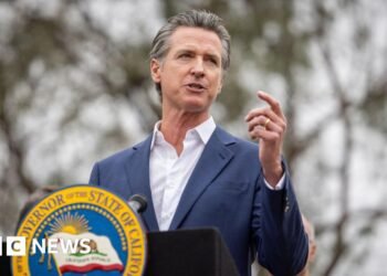 California governor Gavin Newsom vetoes landmark AI security invoice