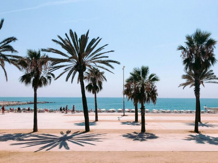 12 Finest Free Out of doors Actions in Barcelona