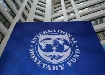 IMF’s Krishna Srinivasan: India should enhance personal funding to satisfy its Viksit Bharat 2047 objective